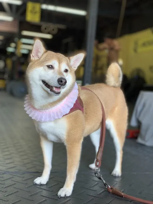 K2 CrossFit Picture 2