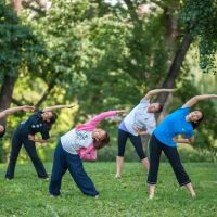 Body & Brain Yoga Tai Chi ico