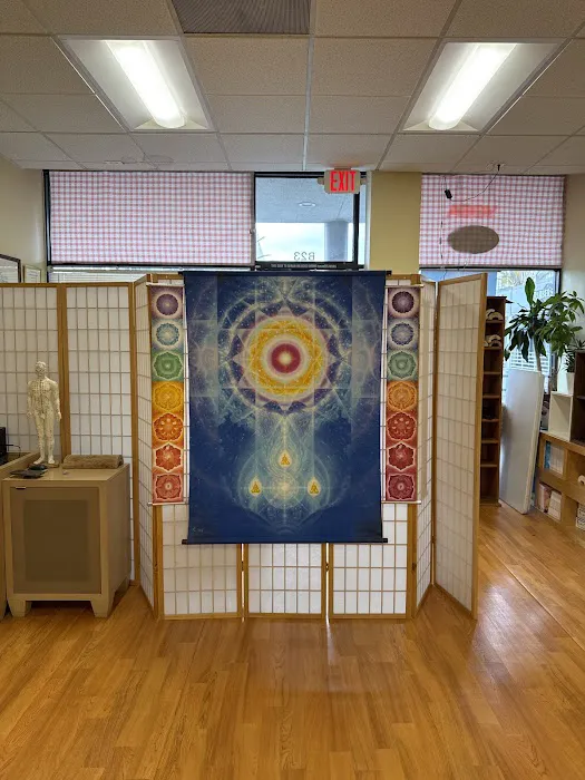 Body & Brain Yoga Tai Chi Picture 5