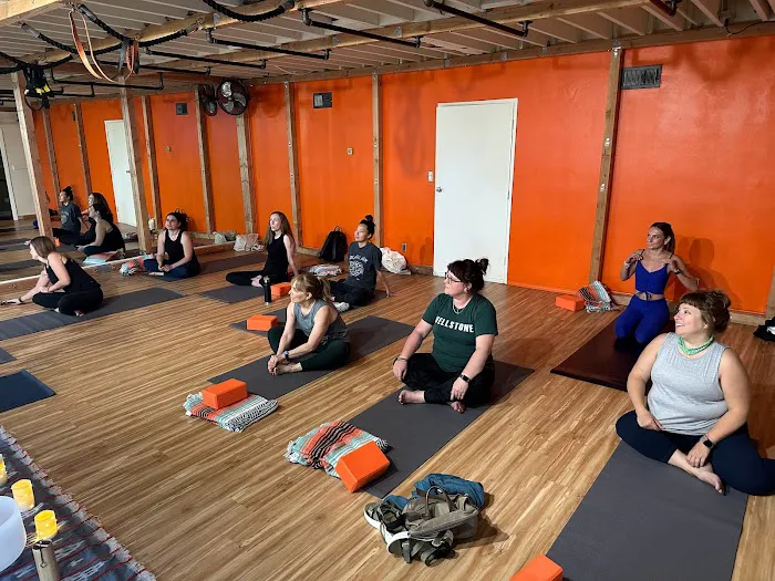 rooted | fitness studio Picture 2