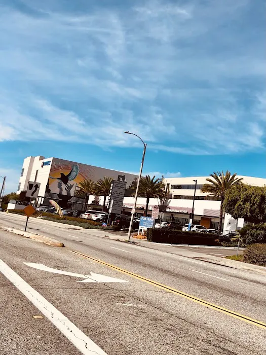 24 Hour Fitness Picture 1