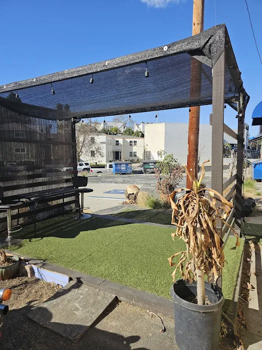 Lotus Yoga and Wellness Picture 4