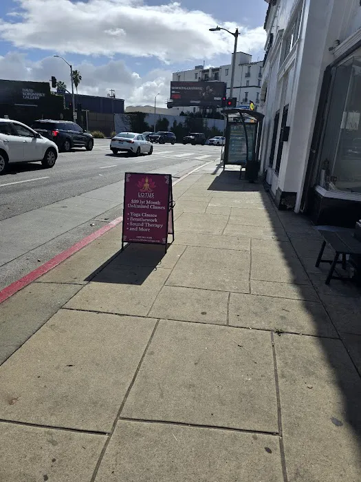 Lotus Yoga and Wellness Picture 7