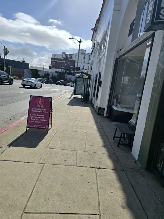 Lotus Yoga and Wellness Picture 6