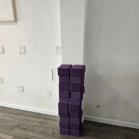 Lotus Yoga and Wellness ico