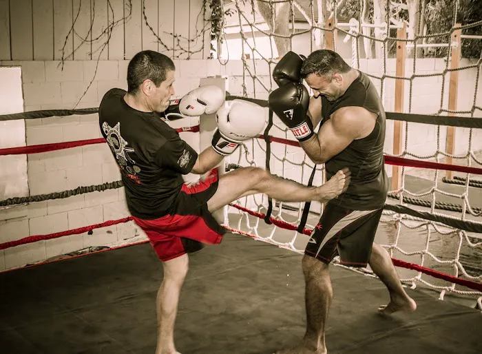 Triton Gym Picture 7