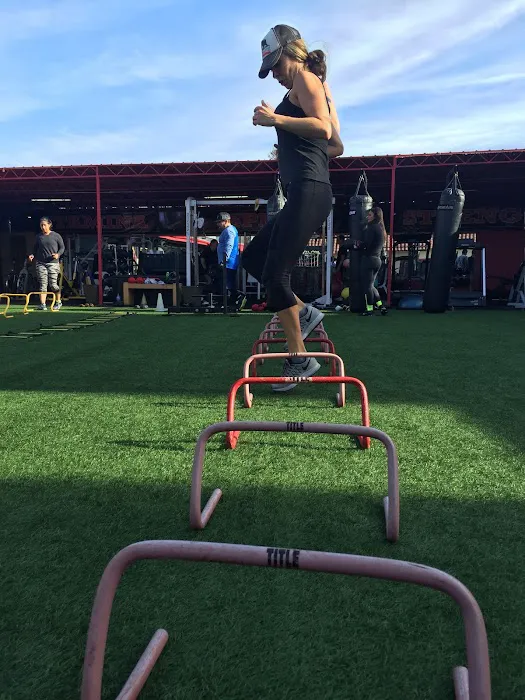 Triton Gym Picture 4