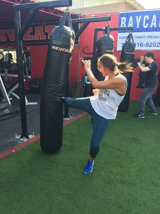 Triton Gym Picture 5