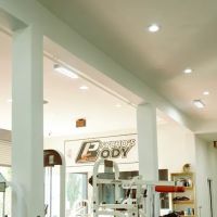 Psycho's Body Shop ico