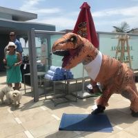 Shine Society Fitness ico