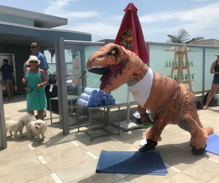 Shine Society Fitness