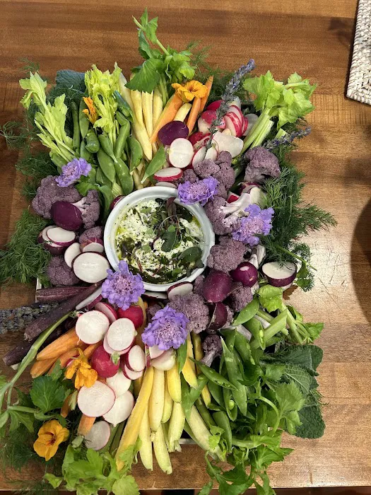 Elevated Living Collective Picture 8