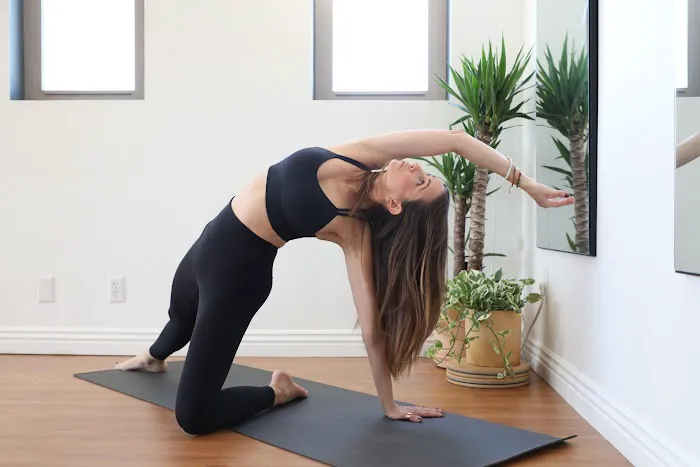 Elevated Living Collective Picture 1