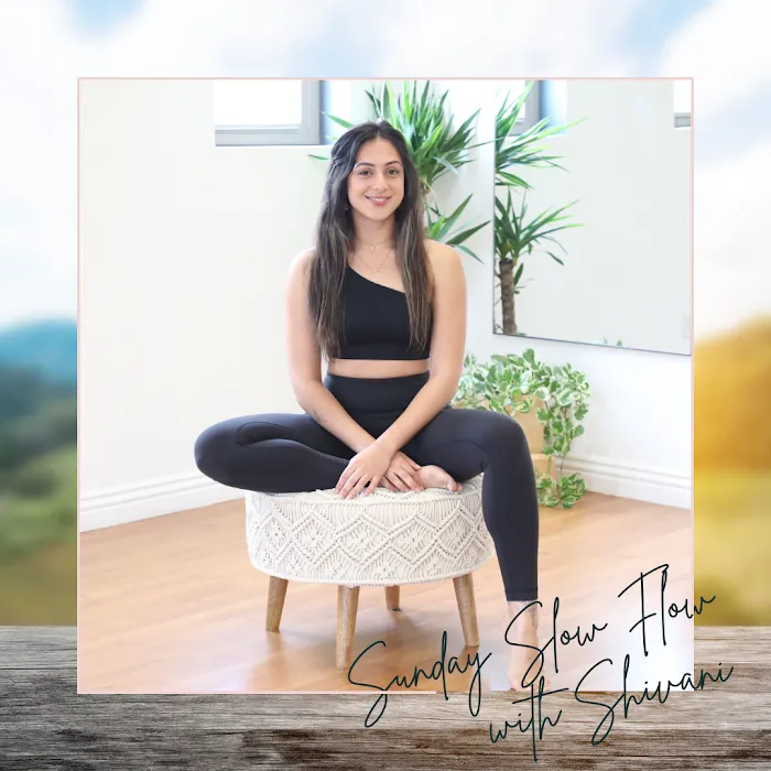 Elevated Living Collective Picture 5