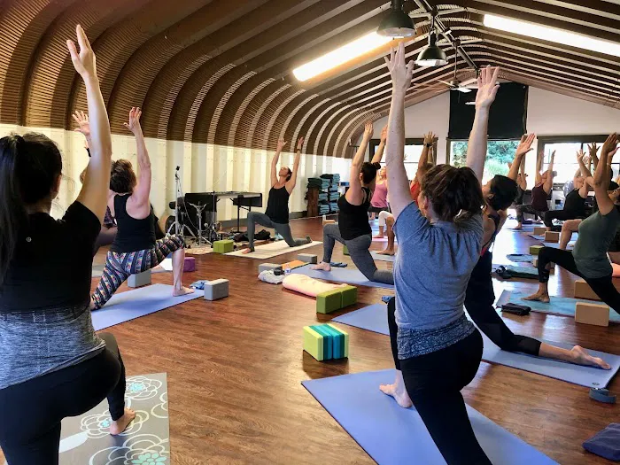 True FLOW Yoga Teacher Training & Retreats Picture 2