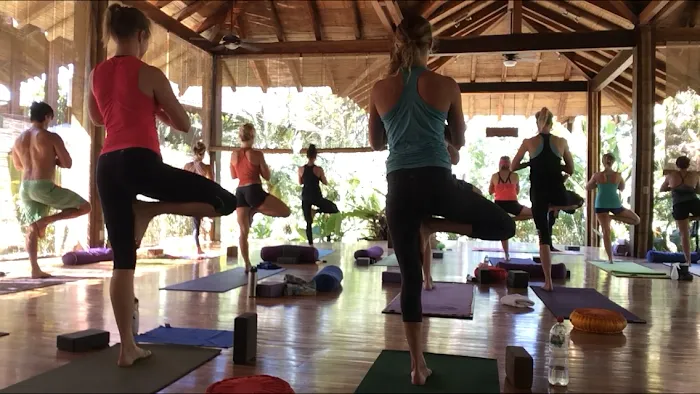 True FLOW Yoga Teacher Training & Retreats Picture 1