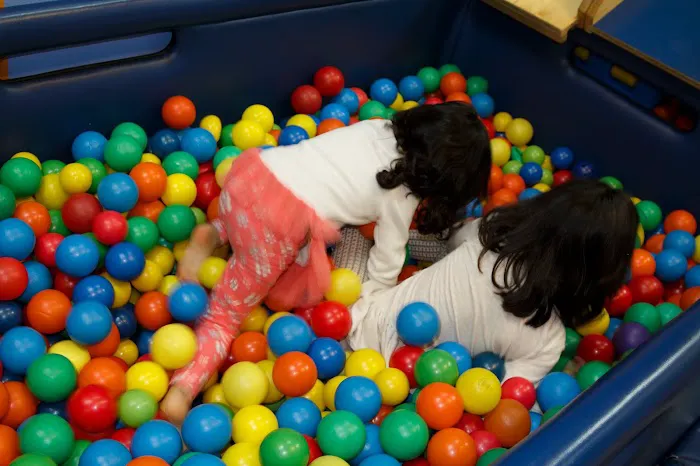 My Gym Children's Fitness Center Picture 7