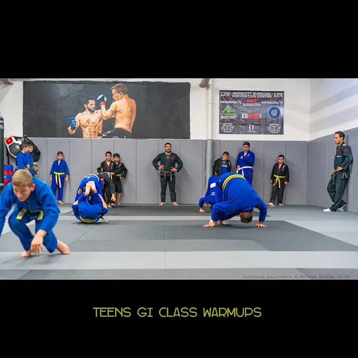 KD MMA Mixed Martial Arts Academy Picture 9