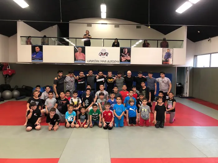 KD MMA Mixed Martial Arts Academy Picture 3