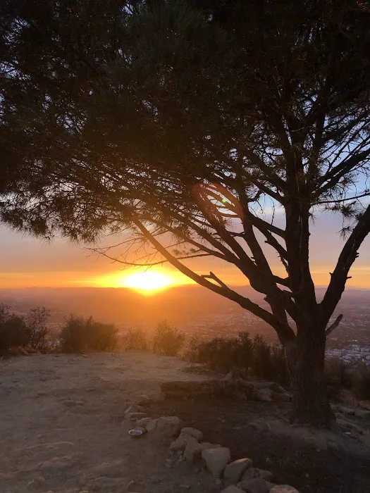 TNT Running Club Picture 1