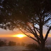 TNT Running Club ico