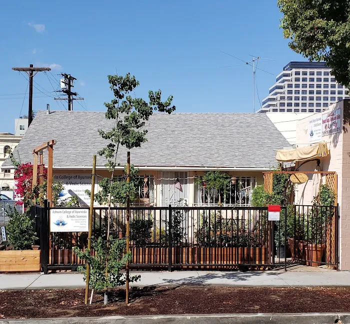 Vedic Yoga & Meditation Picture 6