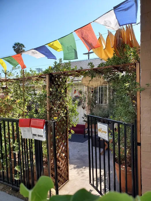 Vedic Yoga & Meditation Picture 5