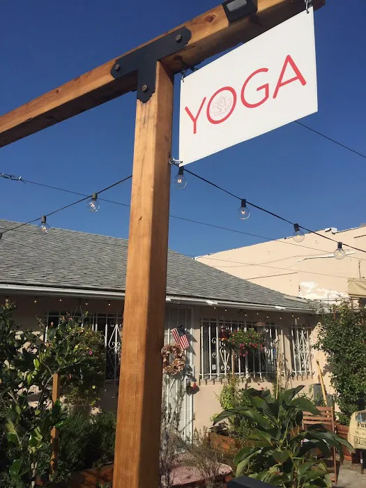 Vedic Yoga & Meditation Picture 8