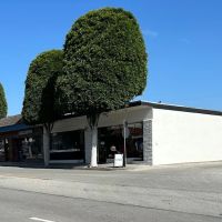 Warrior Soul Fitness ico