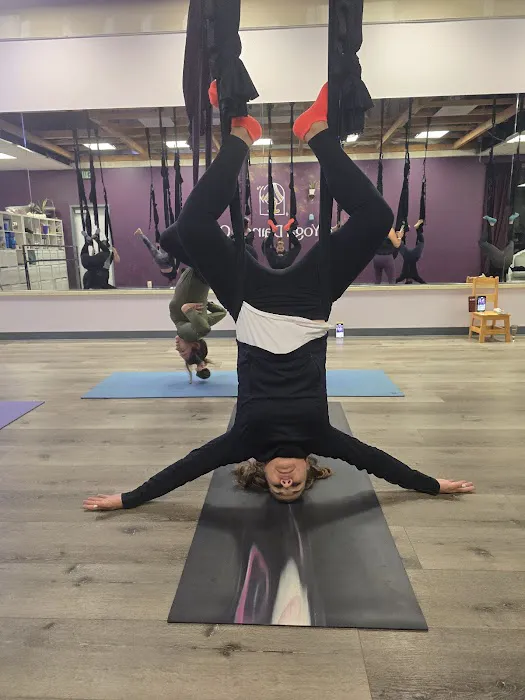 The Yoga Dance Co Picture 4