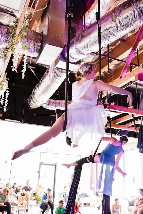 The Yoga Dance Co Picture 6