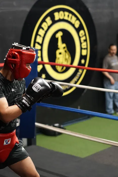 Valverde Boxing Club Covina Picture 7