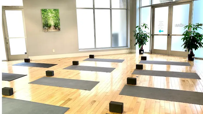 HOMTOWN Yoga Picture 1