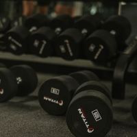 Berserk Sports Performance ico