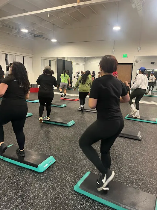 Speed Hawse Picture 10