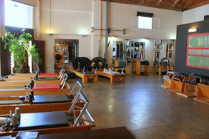 Whole Body Method Picture 8