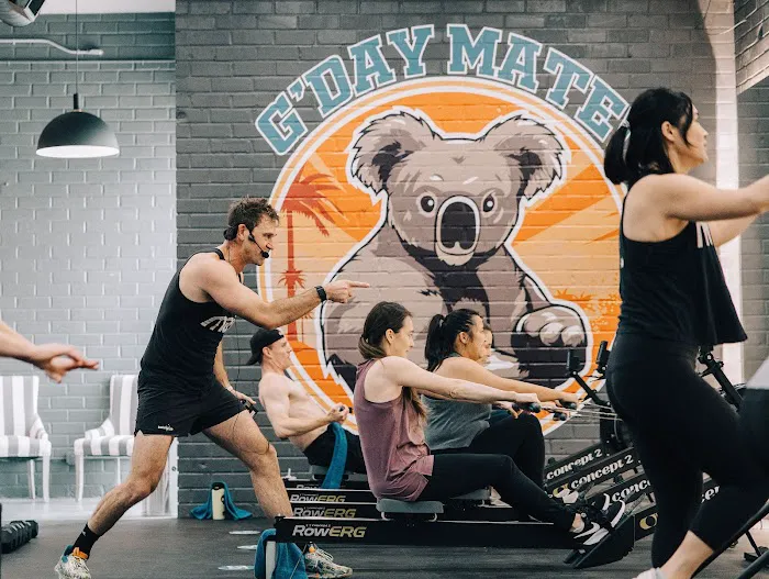 Training Mate Culver City Picture 10