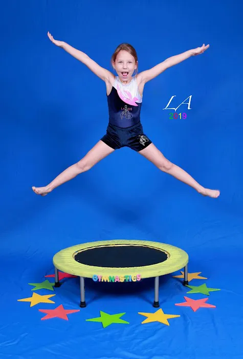 Los Angeles School of Gymnastics Picture 1