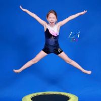 Los Angeles School of Gymnastics ico