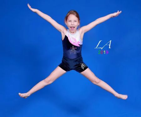 Los Angeles School of Gymnastics