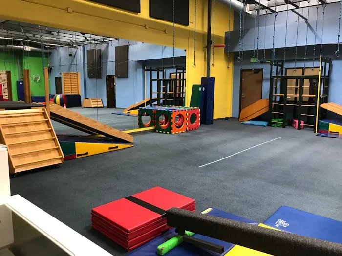 My Gym Beverly Hills Picture 6