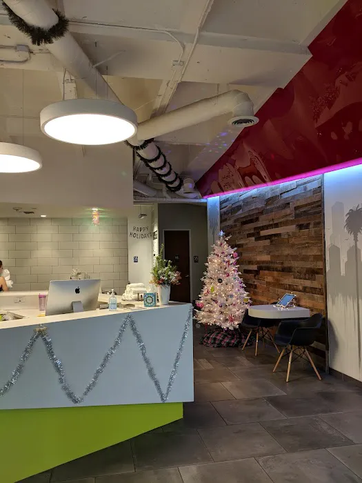 Studeo Beverly Hills Picture 10