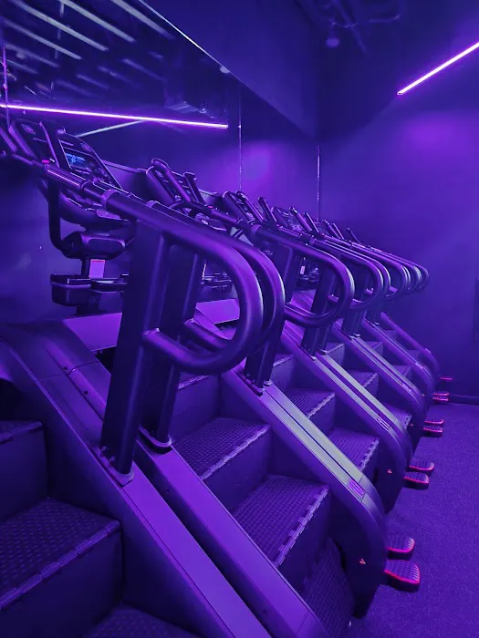 Bünda Manhattan Beach Picture 2