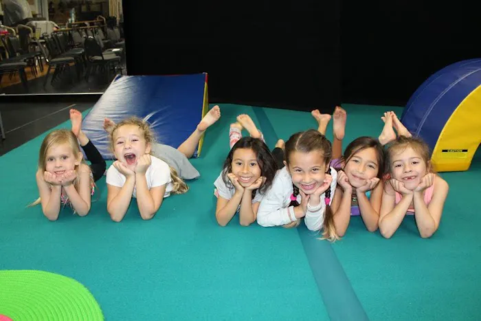 Flipside Gymnastics and Allied Movement Picture 5