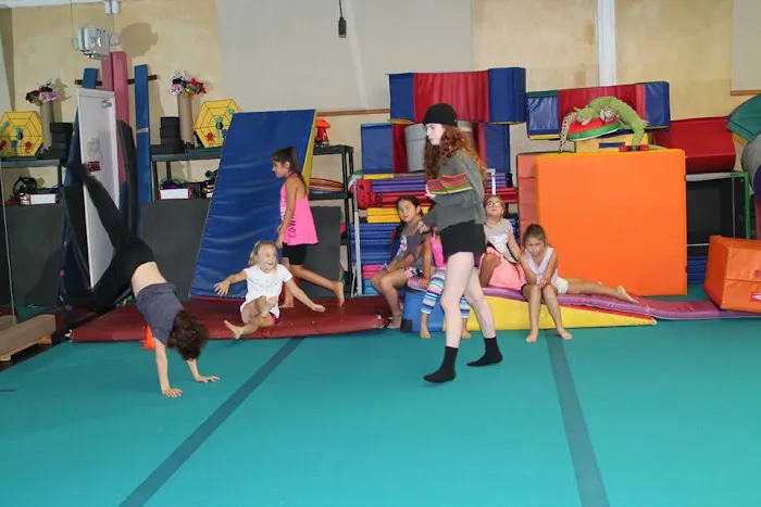 Flipside Gymnastics and Allied Movement Picture 7