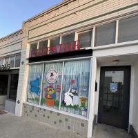 Flipside Gymnastics and Allied Movement ico