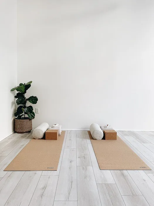 The Holō Collective Picture 6