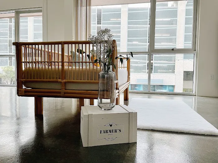 The Holō Collective Picture 2