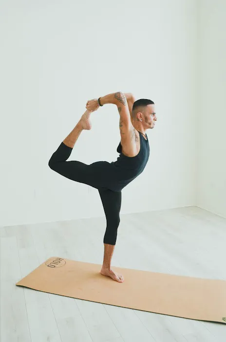 The Holō Collective Picture 10