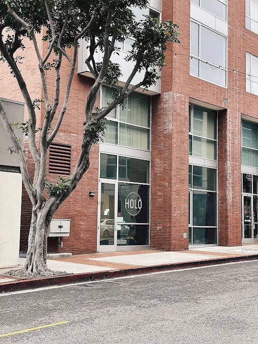 The Holō Collective Picture 8